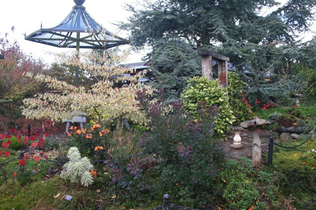 Ideas for an East Limerick gardens tour next year. Coolwater Garden